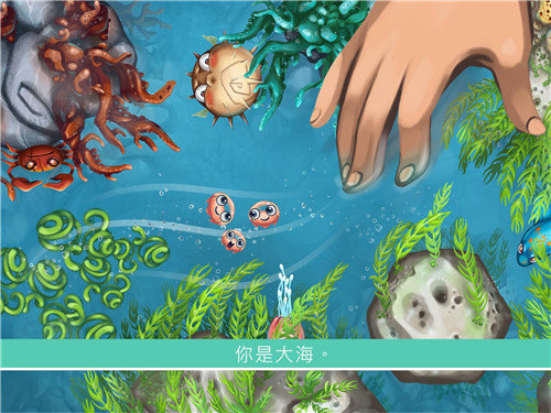 水母暗礁Jelly Reef 水母暗礁Jelly Reef