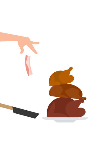 Bacon(培根配万物) Bacon(培根配万物)