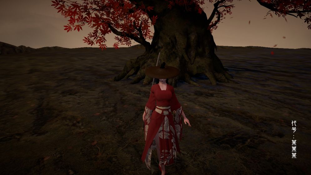 代号:某某某 代号:某某某