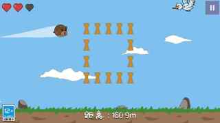 动物飞行大作战 动物飞行大作战