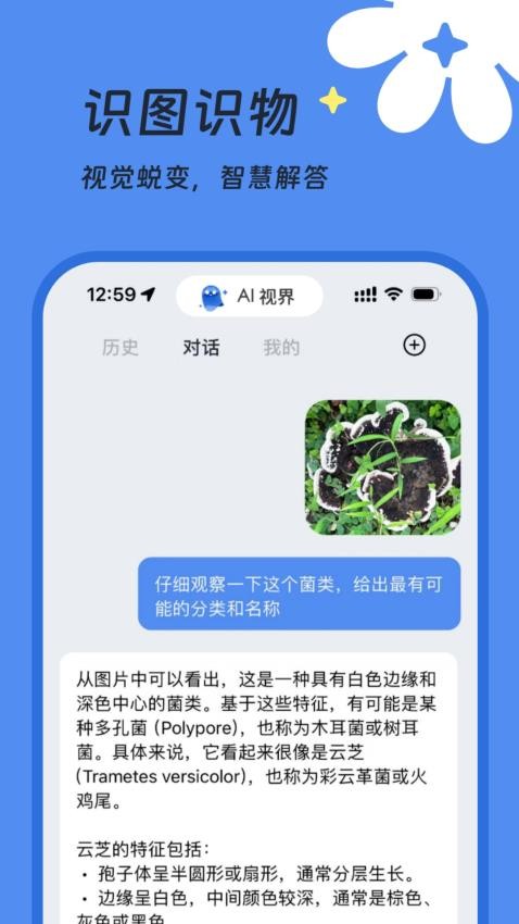 AI视界APP