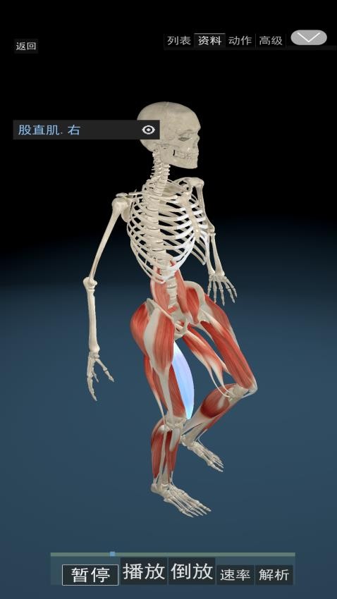 3D动态解剖软件