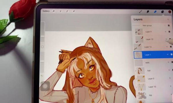 procreate绘画官方版