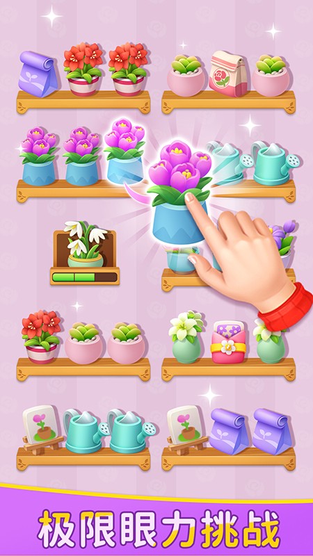 鲜花收纳手游