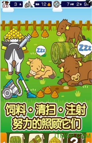 养牛场