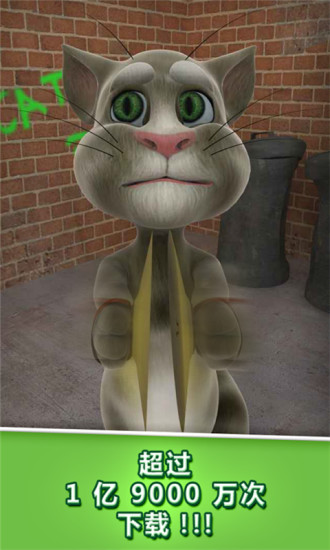 Talking Tom Cat